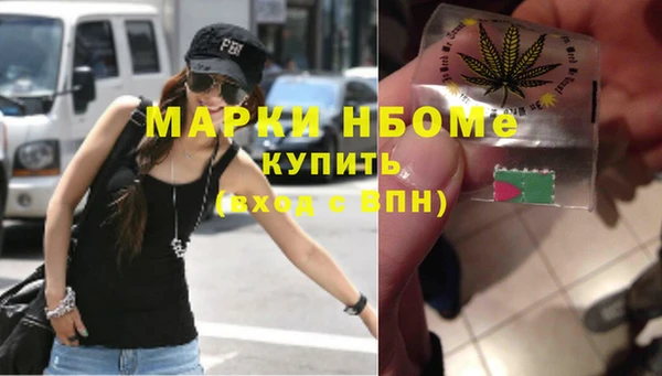 гидра Надым