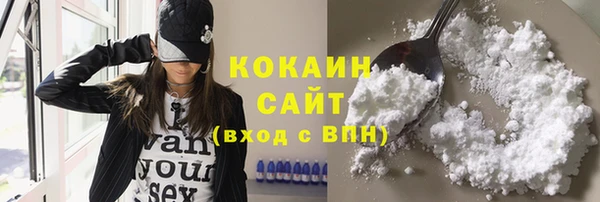 стаф Михайлов