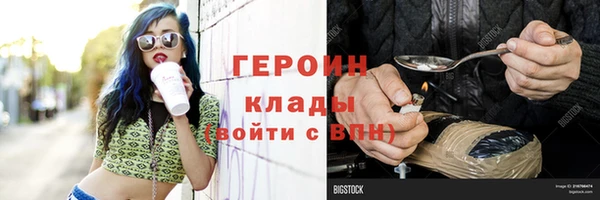 гидра Надым