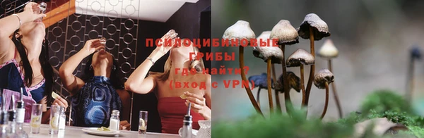 стаф Михайлов