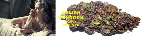 гидра Михайловск