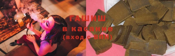 гидра Надым