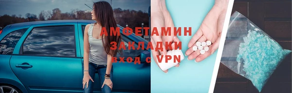 гидра Надым