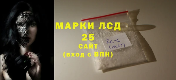 гидра Надым