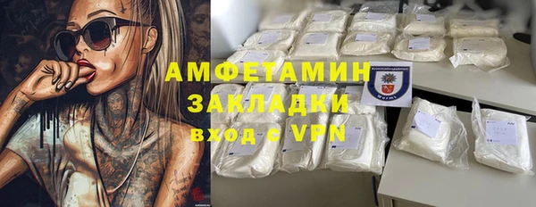 гидра Надым