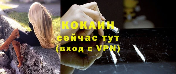 гидра Надым